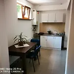Apartment Marasti 2 *