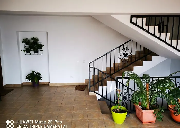 Apartament Marasti 2 *